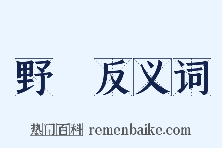 野墺反义词是什么意思的图片
